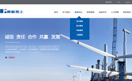 cmsӢpZ˾/I(y)/F(tun)/ͨ;W(wng)վģ