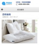 手機(jī)案例內(nèi)容頁